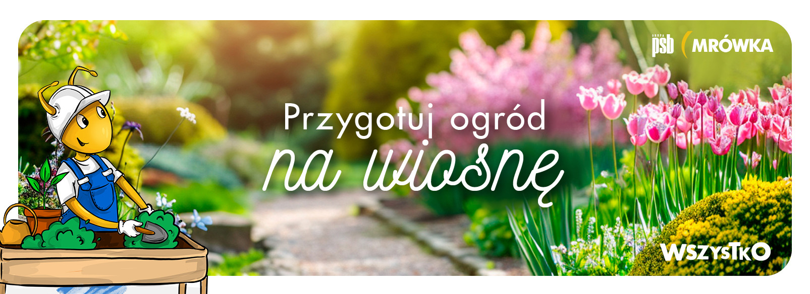 Grupa PSB mrowka Mrówka Brzesko