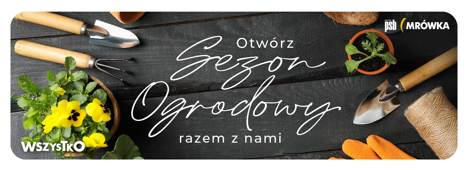 Grupa PSB mrowka Mrówka Brzesko